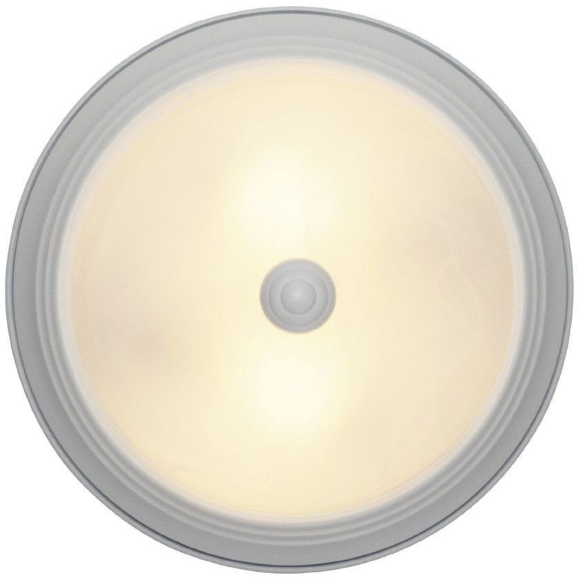 Decorative 2 Light 11 inch White Flushmount Ceiling Light in White Alabaster, Small